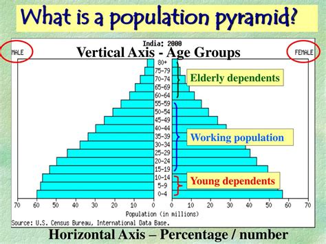 Ppt Population Pyramids Powerpoint Presentation Id 211380