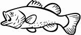 Bass Fish Clipart Largemouth Fishing Clip Outline Silhouette Coloring Patterns Drawing Border Mouth Background Pages Jumping Template Drawings Large Stencils sketch template
