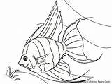 Fish Pages Coloring Realistic Getcolorings Tropical sketch template