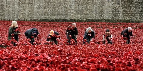 armistice day volunteers take down massive poppy display at tower of