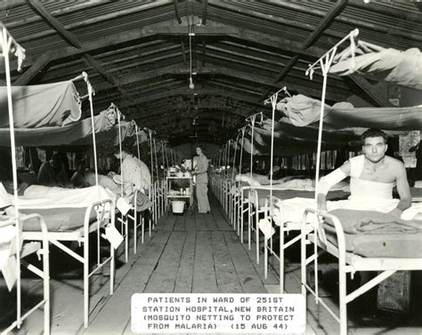 nurse feeds  hospital ward full  wounded soldiers  lay  beds