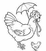 Coloring Chicken Pages Hen Baby Kids sketch template
