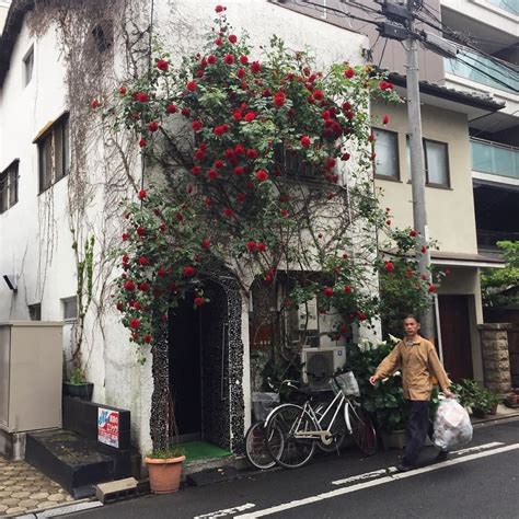 photographer captures small yet utterly delightful buildings in kyoto