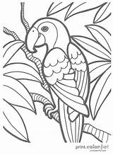 Coloring Tropical Pages Popular sketch template