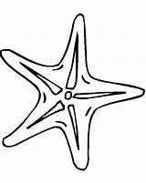 Starfish Drawing Coloring Outline Pages Star Kids Fish Clipart Tiny Cliparts Line Clip Simple Narwhal Small Template Cartoon Sea Drawings sketch template