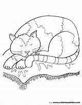 Coloring Pages Cat Sleeping Nap Toyota Bed Getcolorings Color Printable Colori Appealing sketch template