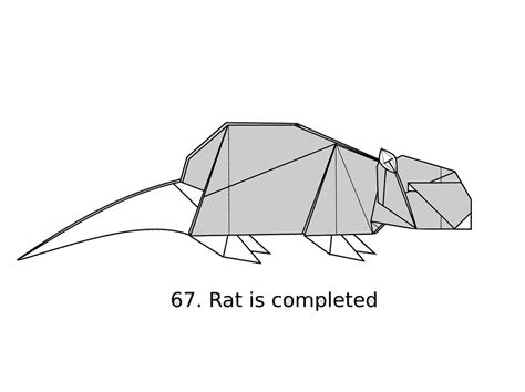 rat diagram finially finished  diagram   rat  star flickr