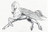Hippogriff Buckbeak Beasts Hagrid Fc07 Cleaned Pegasus Ravenscar45 sketch template