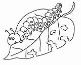 Caterpillar Butterfly Coloring Pages Getcolorings Hungry sketch template