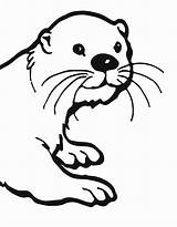 Otter Drawing Sea Simple Drawings Science Otters Cricut River Muskrat Google Equipment Designs Getdrawings Fiction Clipartmag Paintingvalley Search sketch template