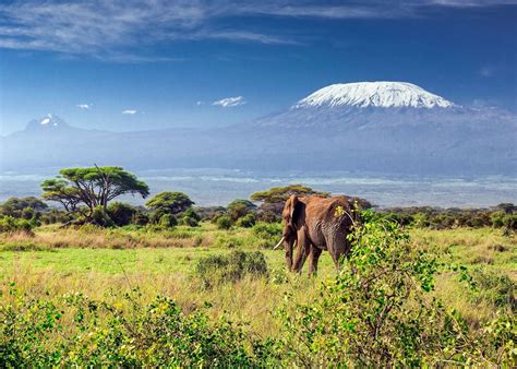 visit mount kilimanjaro   trip  tanzania audley travel