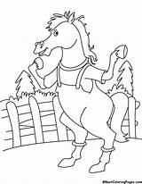 Horse Farm Coloring Pages sketch template