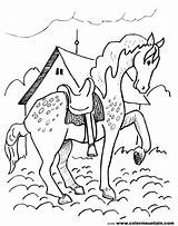 Coloring Pages Horse Appaloosa Saddle Getcolorings Print Portfolio Color Strange Getdrawings sketch template