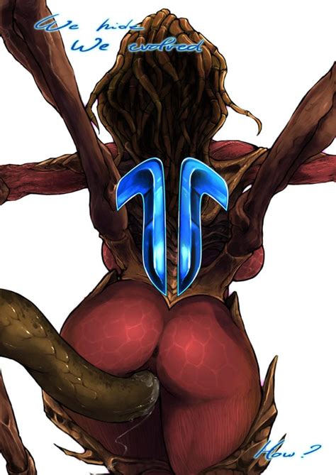 starcraft rule 34 collection [75 pics ] page 10 nerd porn