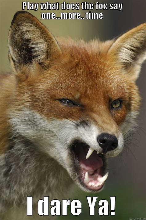 angry fox quickmeme