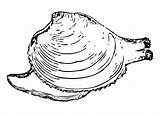 Snail Coloring Vector Quahog Clip Svg Large Clipart Onlinelabels Pages sketch template