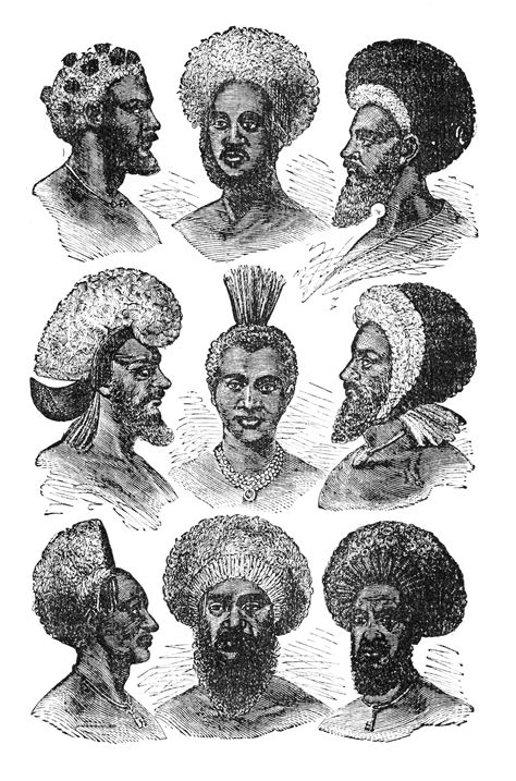 ancient fijian hair texture art fiji culture african braids styles