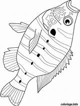 Sunfish Poisson Colorier Poissons sketch template