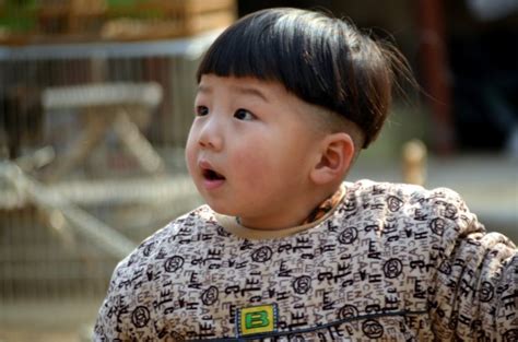 chinese toddler  stock photo public domain pictures