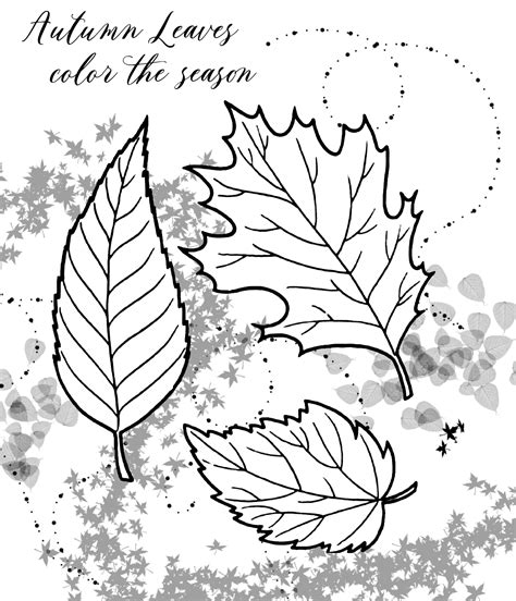 autumn leaf coloring pages zsksydny coloring pages