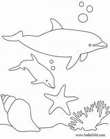 Coloring Dolphins Blue Island Pages Comments sketch template
