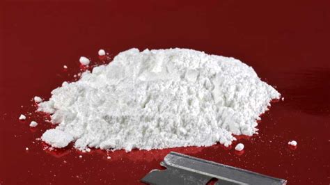 pounds  cocaine discovered  berry shipment heading  canada