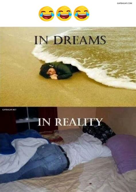 funny meme about dreams vs reality pinterest humor funny memes