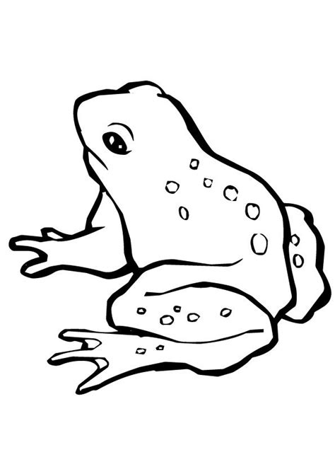 click share  story  facebook frog coloring pages animal