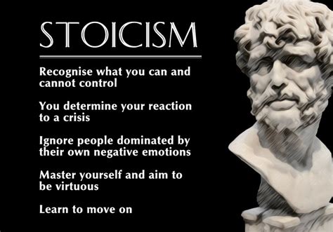 stoic wisdom  business resilience  success toughnickel