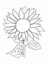 Sunflower Coloring Pages Easy Van Sunflowers Gogh Template Drawing Kids Printable Line Print Simple Color Flower Flowers Drawn Garden Adults sketch template