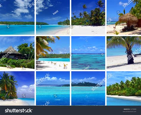 tropical scenes stock photo  shutterstock