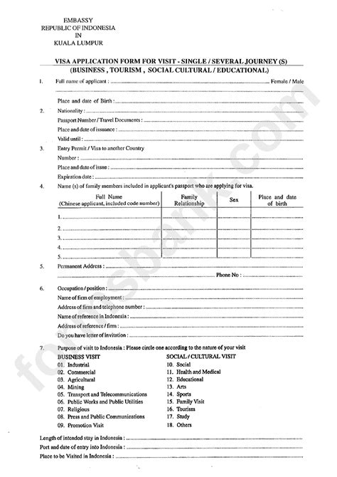 Indonesia Visa Application Form For Visit Single Several Journey S