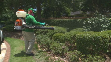 spraying  yard  eliminate mosquitoes wtspcom