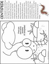 Centipede Coloring Fact Makingfriends Bug sketch template