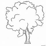 Coloriage Baum Drzewa Albero Imprimer Fensterbilder Drzewo Kolorowanka Kolorowanki Colorier Window Imprimé sketch template