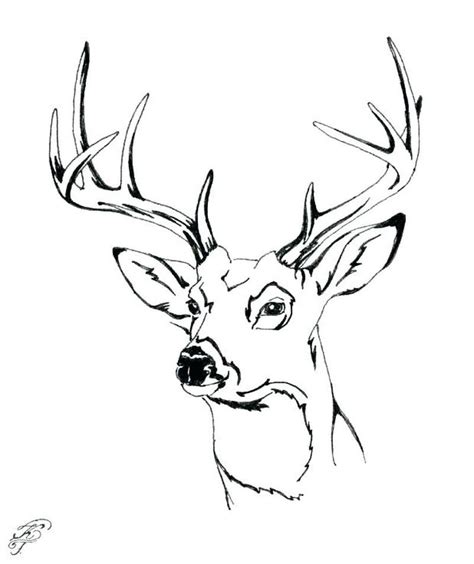 printable deer coloring pages
