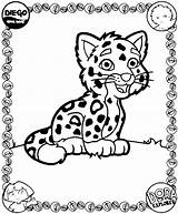 Coloriage Dora Dessin Tigre Jaguar Ausmalbilder Kleurplaten Mignon Imprimer Kleurplaat Colorier Imprimir Mandala Coloriages Animaatjes Gifgratis Malvorlagen1001 Ohmyfiesta sketch template