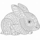 Easter Coloring Pages Adult Adults Printable Bunny Animal Colorings Color Zentangle Doodle Print Rabbit Bunnies Kind Very Getcolorings Getdrawings Book sketch template
