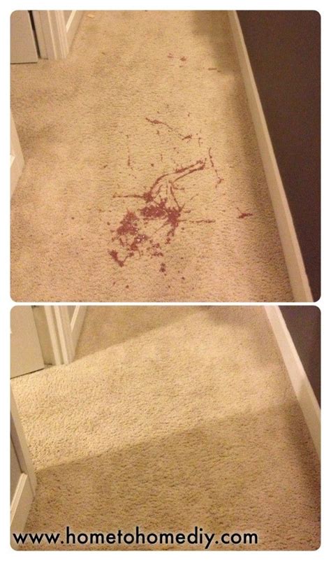 clean throw   carpet carpet points