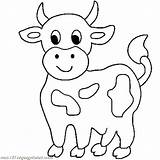 Cow Coloring Pages Cute Little Cows Cartoon Calf Drawing Longhorn Simple Animals Outline Color Printable Animal Farm Print Colouring Kids sketch template