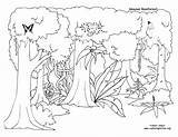 Habitat Coloring Pages Getdrawings Forest Animal sketch template