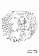 Basford Johanna Jungle Toucan Magical Coloring Pages Book Books Postcards Colouring Adults Adult Inky sketch template