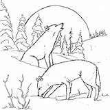 Wolf Pages Coloring Howling Getcolorings sketch template