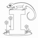 Alphabet Iguana sketch template