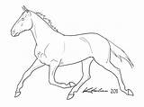 Lineart Standardbred Deviantart Horse Coloring Drawings Pages Drawing Outline Line Western Animal Wallpaper Pretty Visit Sketch sketch template