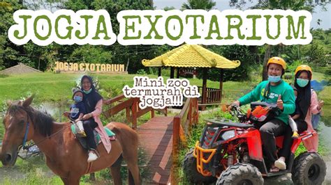 jogja exotarium wisata mini zoo terbaru terlengkap feeding animal