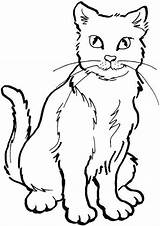 Hewan Gambar Sketsa Mewarnai Kucing Darat Marimewarnai Gambarcoloring Lengkap Terlengkap Impressionnant Abis Udara Diposting sketch template