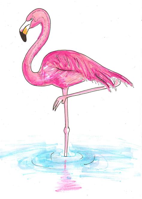 flamingo art flamingo drawings