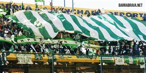 fotos imágenes página 84 barra brava hinchadas de fútbol