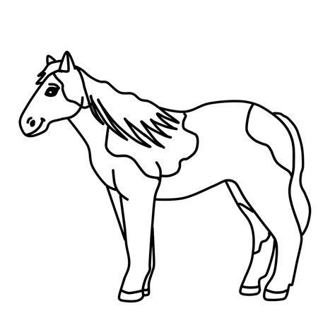 spotted horse clipart pony graphic  clipart  clipart  school